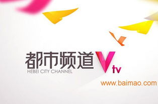 海王廣告 專業(yè)鑄就卓越，精準(zhǔn)賦能河北電視臺(tái)廣告優(yōu)勢(shì)發(fā)布